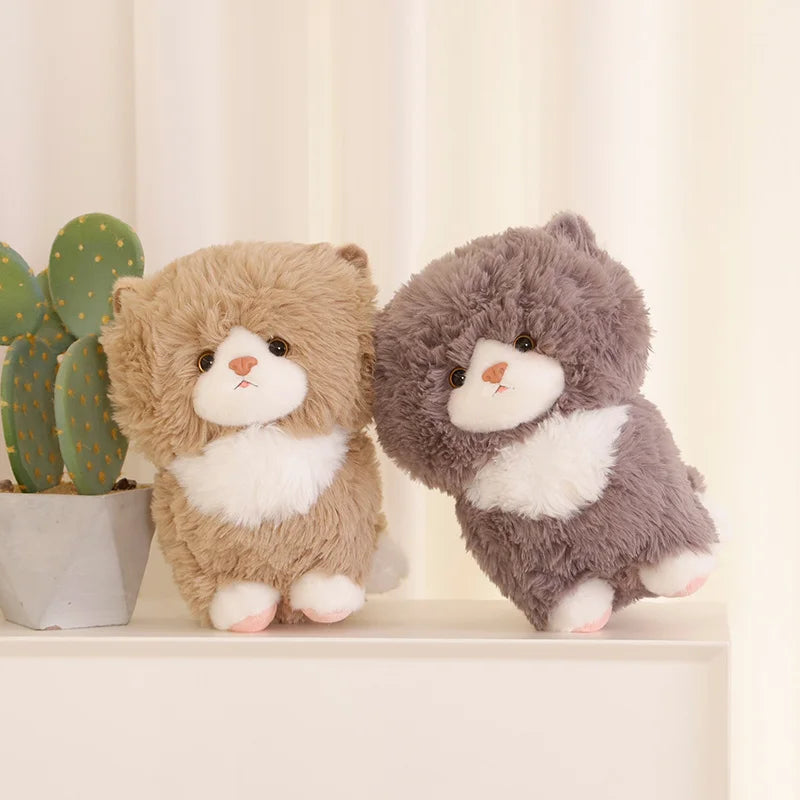 25-35CM-Cute-Fluffy-Cat-Plush-Toy-Doll-Cartoon-Cat-Doll-Pendant-Gifts-for-Childrens-Birthday_83e28386-06a8-4b1f-b2f2-1f9b695b4ad4.jpg - PELUCHE POUPEE