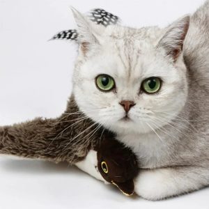 Jouet pour chat BirdBeat