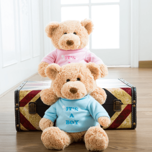 Ours en Peluche Mignon