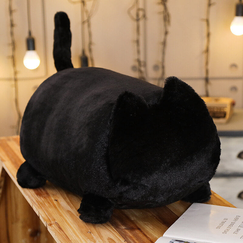 Peluche - petit chat noir et blanc | Éditions Vaudreuil