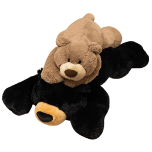 Peluche Ours Brun