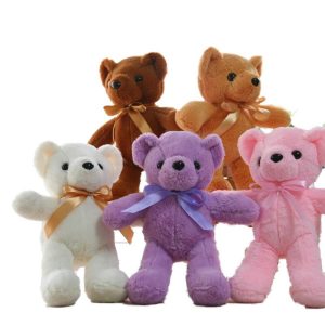 Peluche Ours Coloré