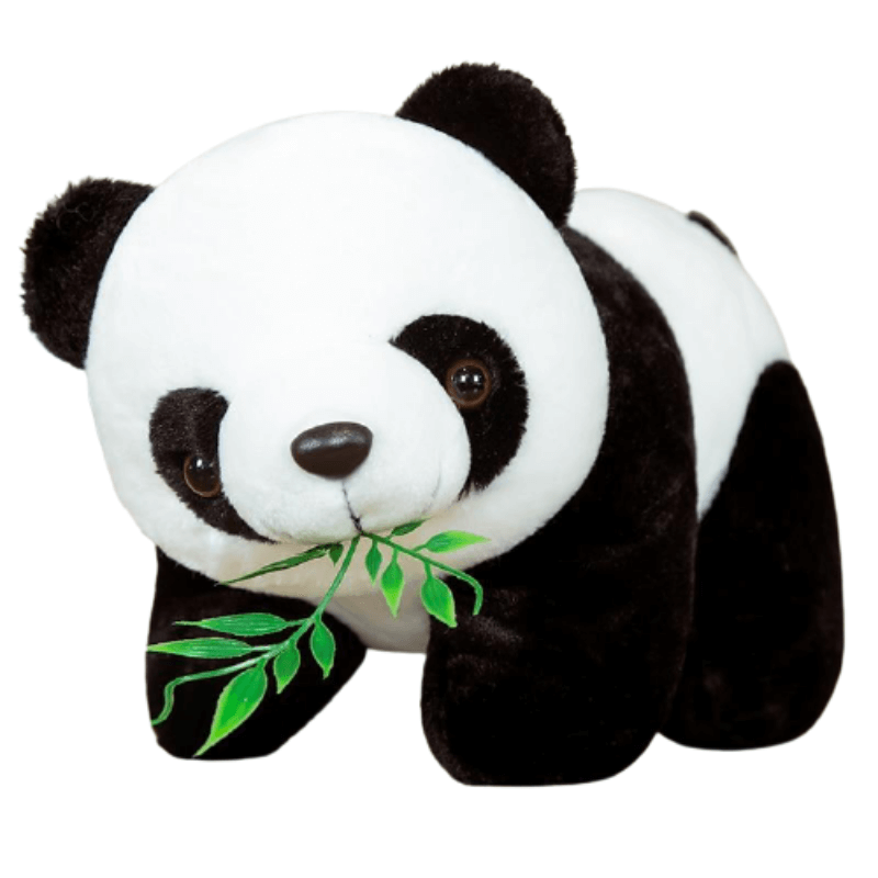 Panda-qui-mange-du-bambou.png - PELUCHE POUPEE