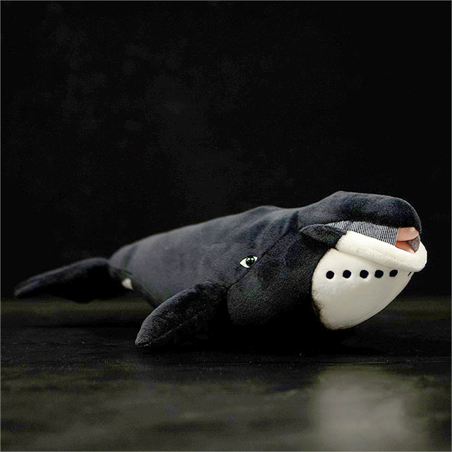 peluche-baleine-a-bosse.png - PELUCHE POUPEE