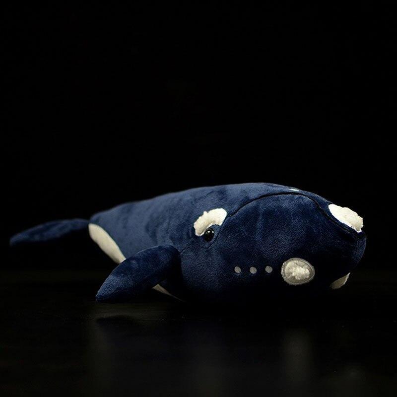 peluche-baleine-franche-38cm.jpg - PELUCHE POUPEE