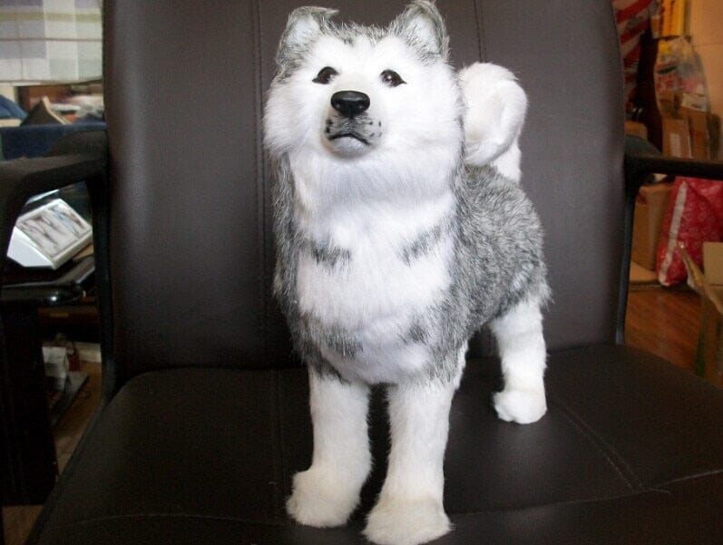 peluche-loup-realiste-peluche-geante-28019424559186.jpg - PELUCHE POUPEE