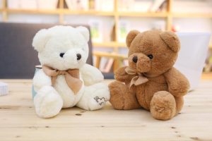 Petit Ours en Peluche
